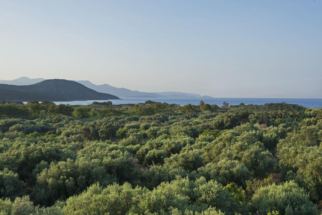 Istron Maisonettes With Private Pool Esterno foto